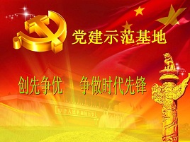 2013年入党自传