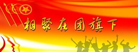入团志愿书