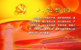 入党志愿书900字