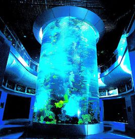 水族馆
