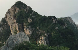 泰山