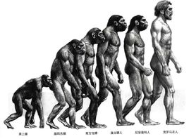 人类