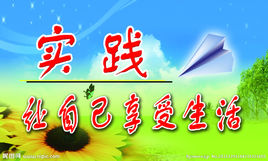 实践