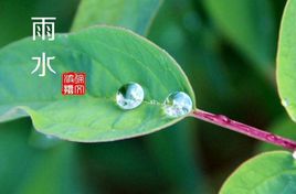 雨水