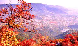 香山