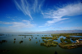 沙湖