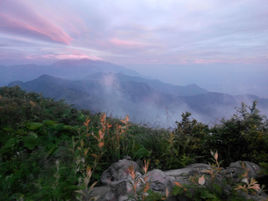千佛山