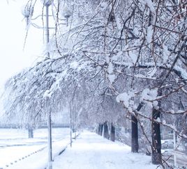下雪