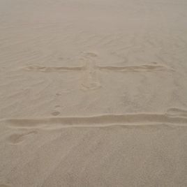 十一