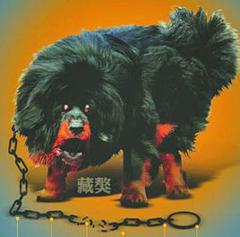 大狗