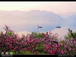 写景