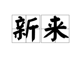 新来