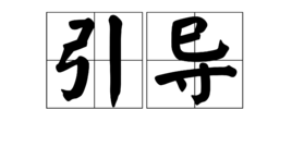 引导
