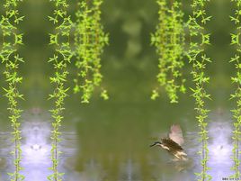 春光