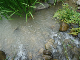 溪水