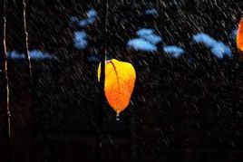雨夜