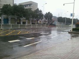 中雨