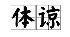 体谅