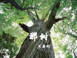 那树