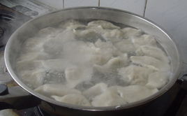 煮饺子