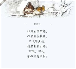 如梦令