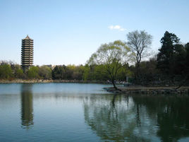 人工湖