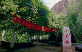 葡萄沟