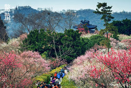 梅花山