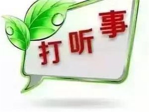 打听