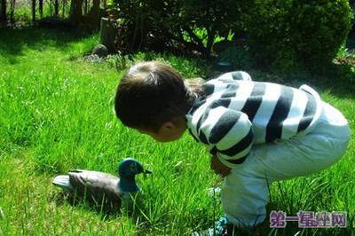 好奇