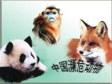 濒危