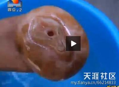 自卫