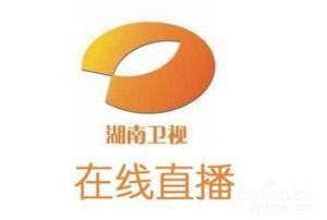 在线