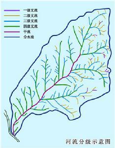 支流