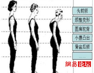 体态