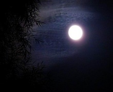 夜色