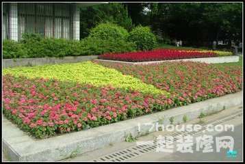 花坛