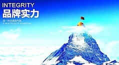 实力