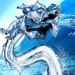 水龙