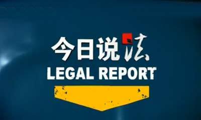 说法