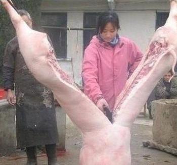死人