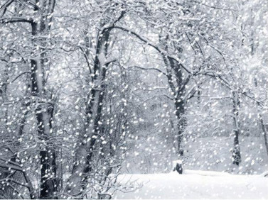 下大雪