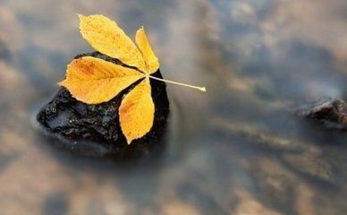 领悟