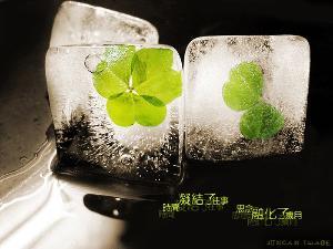 凝结