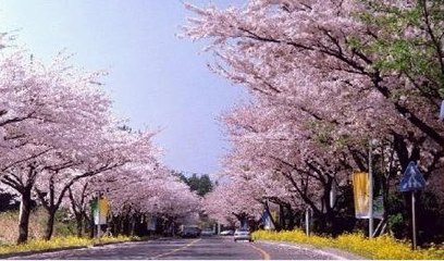 大道