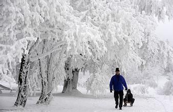 大雪