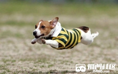 飞奔