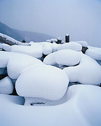 积雪