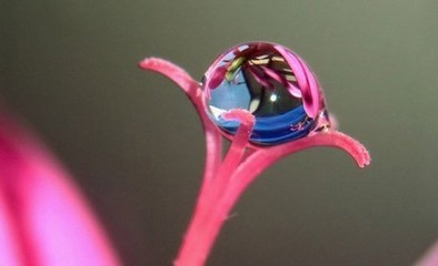 悲悯