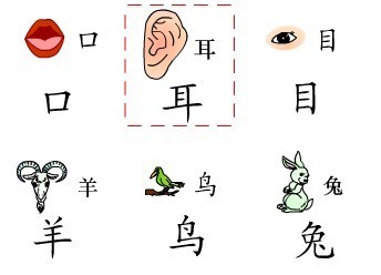 耳目